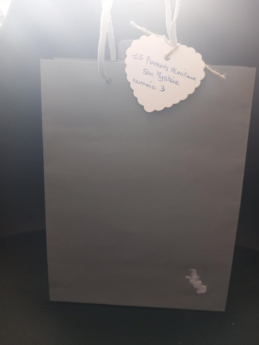 Sac Mystère numéro 03 ( 15 fondants )