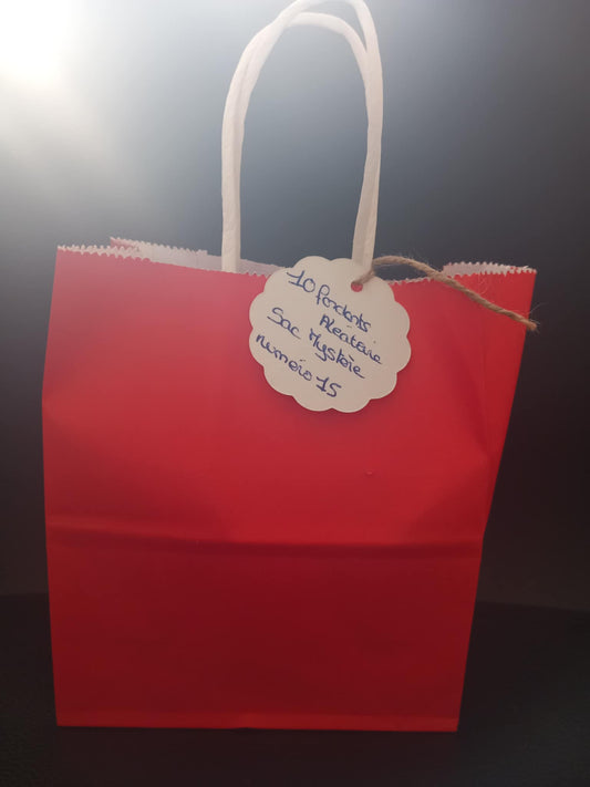 Sac Mystère numéro 15 ( 10 fondants )
