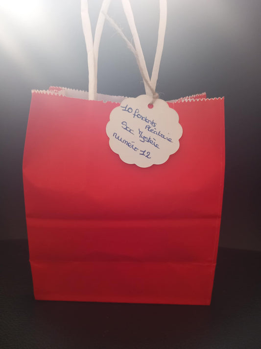 Sac Mystère numéro 12 ( 10 fondants )
