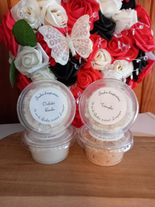 Poudres d'aspirateur